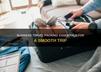 Business Travel Packing: Essentials For A Smooth Trip | QuartzMountain