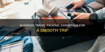 Business Travel Packing: Essentials For A Smooth Trip | QuartzMountain