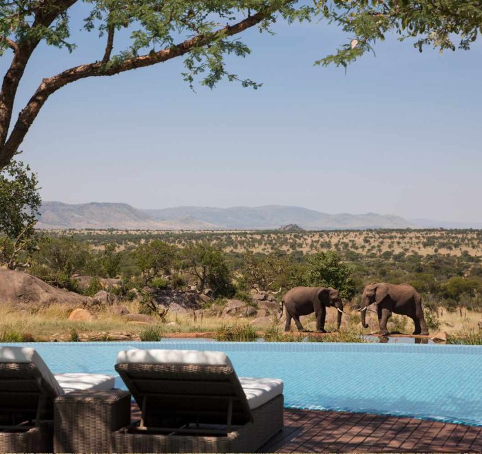 African Wildlife Safari and Tours | Kiboko Safaris
